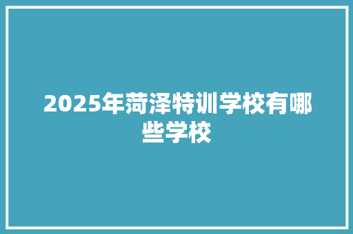 2025年菏泽特训学校有哪些学校 社会论文
