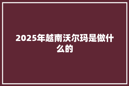2025年越南沃尔玛是做什么的 教育论文