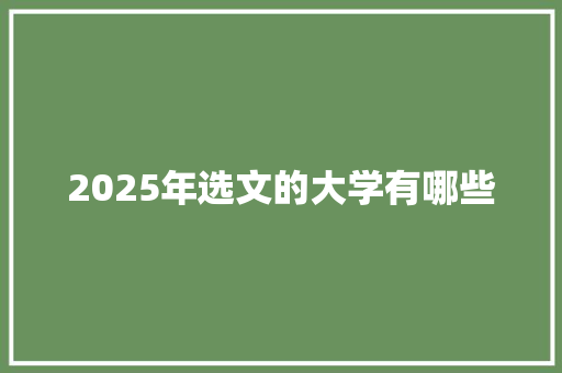 2025年选文的大学有哪些 个人写作