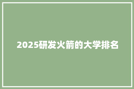 2025研发火箭的大学排名 管理论文