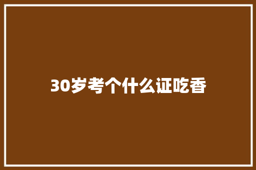 30岁考个什么证吃香 个人简历