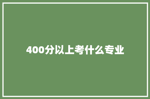 400分以上考什么专业 论文