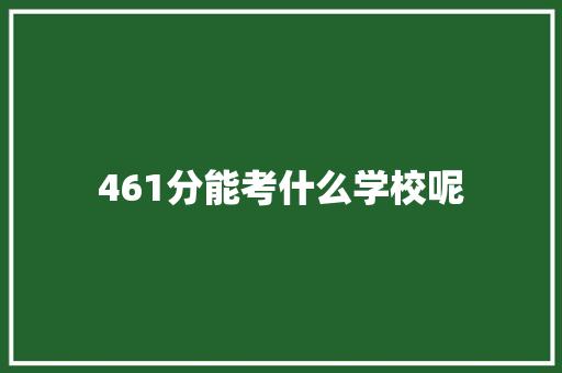 461分能考什么学校呢 简历