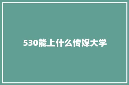 530能上什么传媒大学 论文