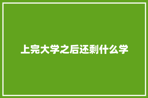 上完大学之后还剩什么学 文秘写作