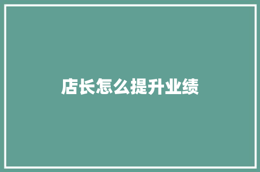 店长怎么提升业绩 管理论文