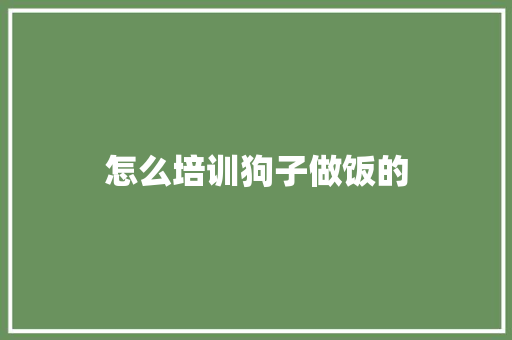 怎么培训狗子做饭的 简历资料