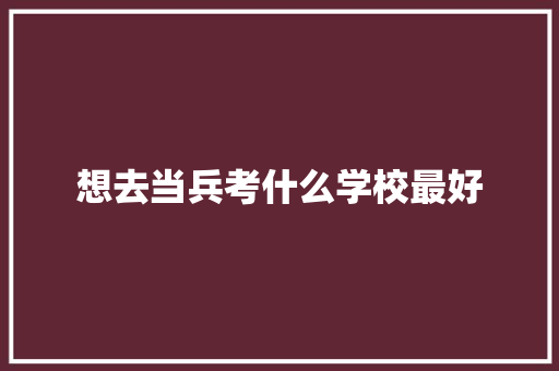 想去当兵考什么学校最好 毕业设计