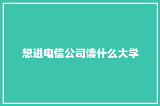 想进电信公司读什么大学 管理论文
