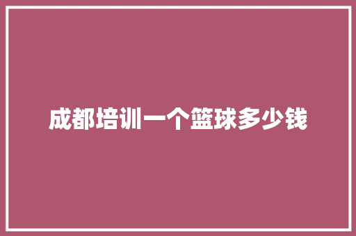 成都培训一个篮球多少钱 文秘写作