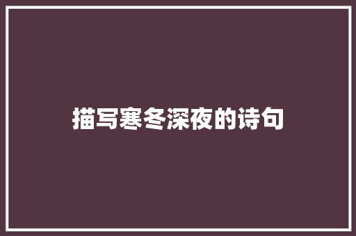 描写寒冬深夜的诗句 表扬书