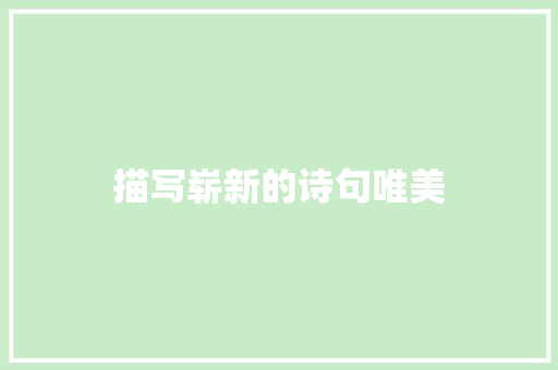 描写崭新的诗句唯美 计算机论文