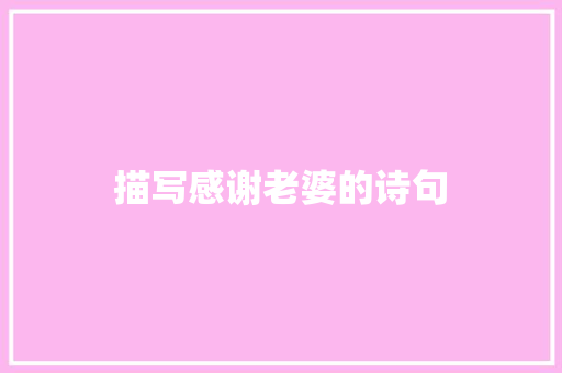 描写感谢老婆的诗句 英文简历