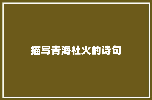 描写青海社火的诗句 计算机论文