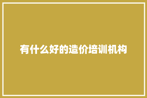 有什么好的造价培训机构 计算机论文