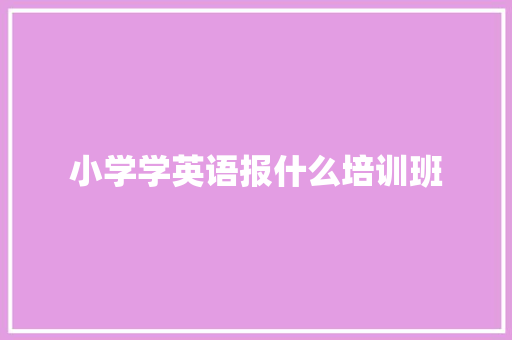 小学学英语报什么培训班 策划方案