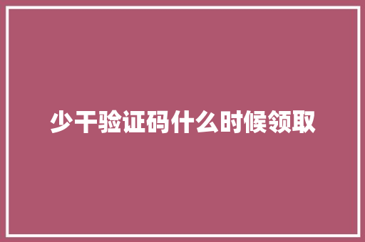 少干验证码什么时候领取 策划方案