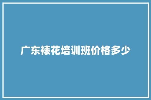广东裱花培训班价格多少 文秘写作