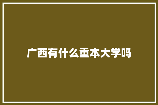 广西有什么重本大学吗 计算机论文