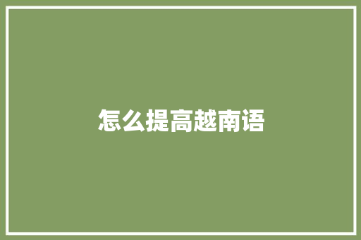 怎么提高越南语 计算机论文