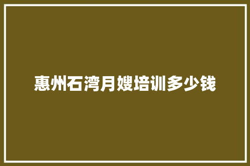 惠州石湾月嫂培训多少钱 策划方案