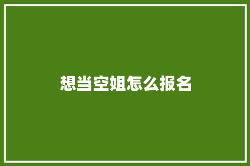 想当空姐怎么报名 教育论文