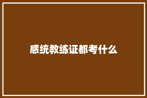 感统教练证都考什么 计算机论文
