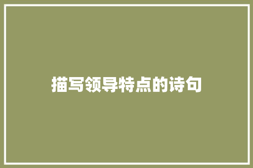描写领导特点的诗句 计算机论文