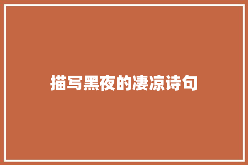 描写黑夜的凄凉诗句 英文简历