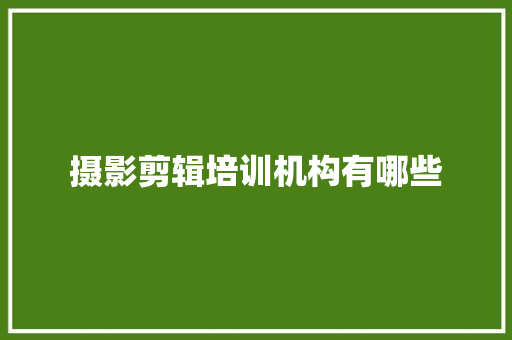 摄影剪辑培训机构有哪些 论文