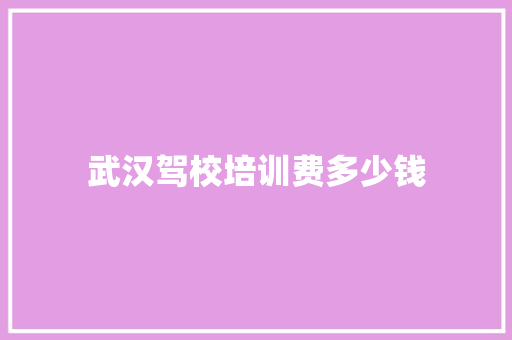 武汉驾校培训费多少钱 文秘写作