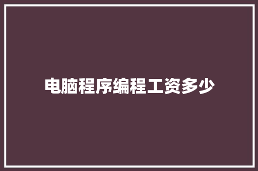 电脑程序编程工资多少 简历资料