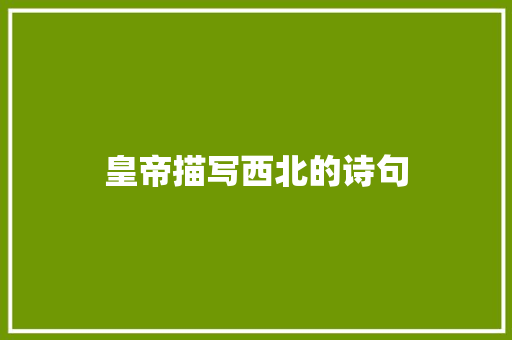 皇帝描写西北的诗句 担保书
