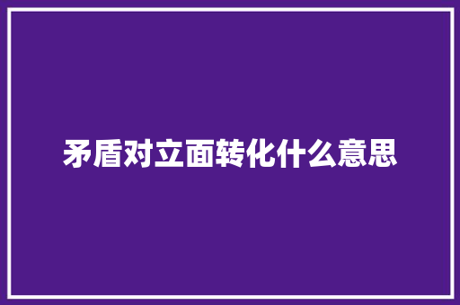 矛盾对立面转化什么意思 表扬书