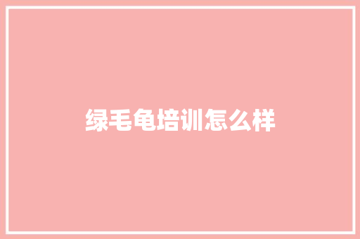 绿毛龟培训怎么样 文秘写作