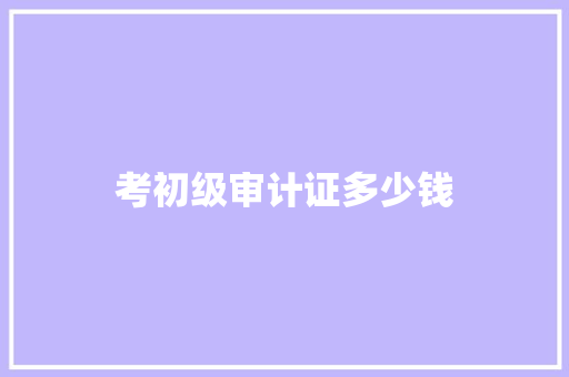 考初级审计证多少钱 文秘写作
