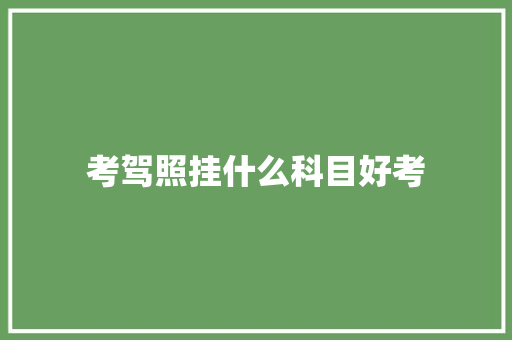 考驾照挂什么科目好考 个人简历