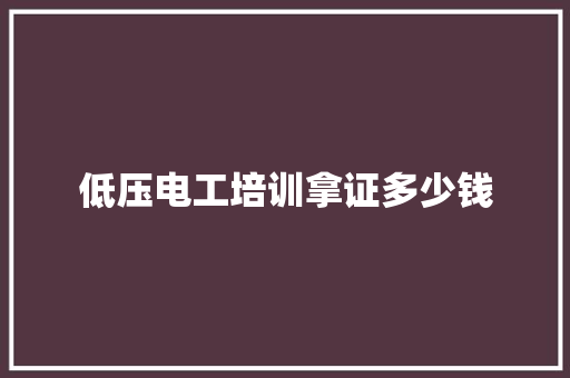 低压电工培训拿证多少钱 论文