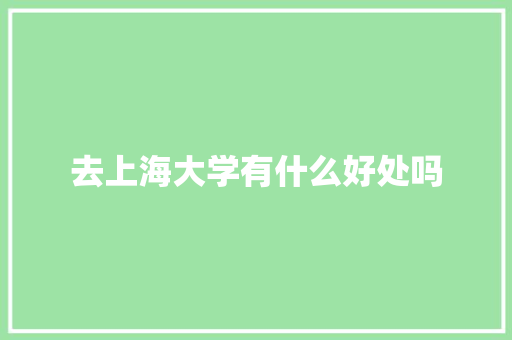 去上海大学有什么好处吗 简历