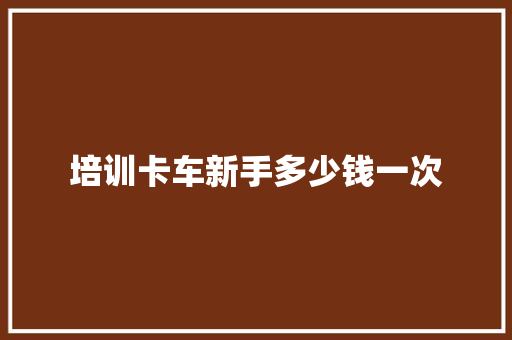 培训卡车新手多少钱一次 英文简历