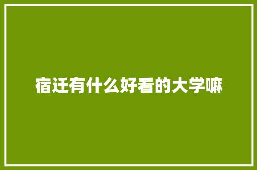 宿迁有什么好看的大学嘛 个人简历