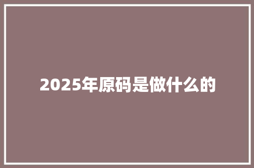2025年原码是做什么的 教育论文