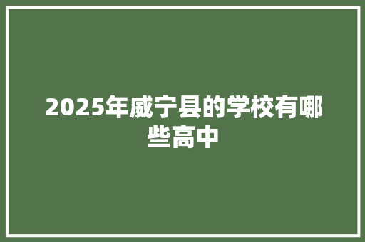 2025年威宁县的学校有哪些高中 计算机论文