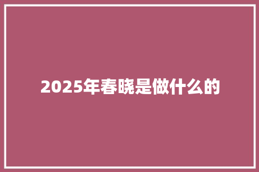2025年春晓是做什么的 论文