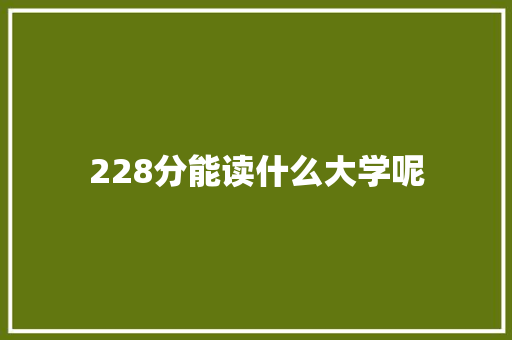228分能读什么大学呢 办公写作