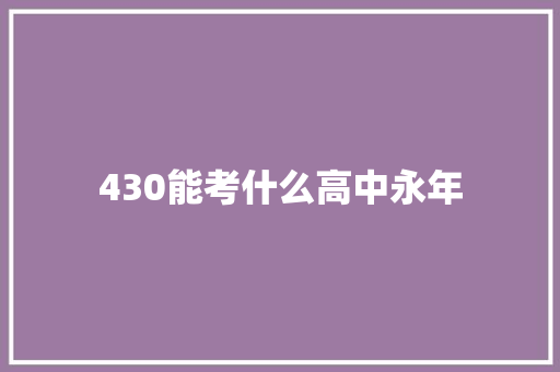 430能考什么高中永年 社会论文
