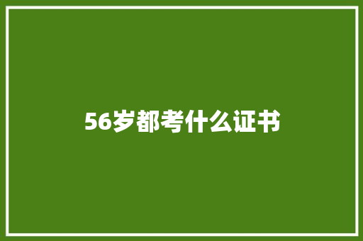 56岁都考什么证书 办公写作