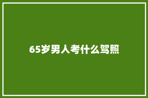 65岁男人考什么驾照 个人写作