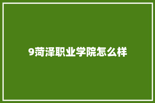 9菏泽职业学院怎么样 社会论文