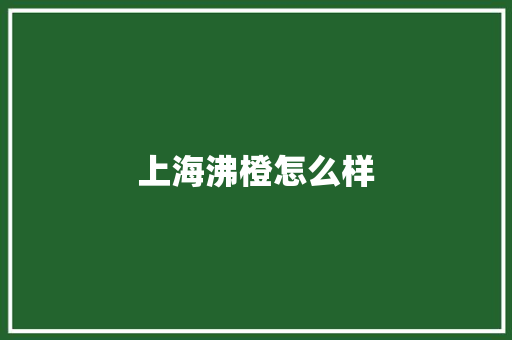 上海沸橙怎么样 文秘写作